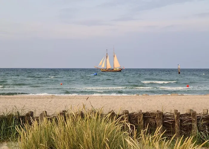 Zum 아파트 담프